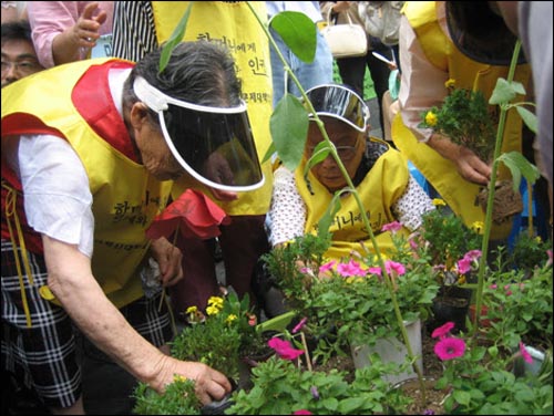 이날 '희망의 꽃밭 만들기' 행사에서 할머니들이 꽃을 심고 있다. 